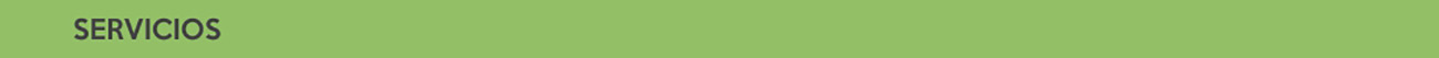 servicios